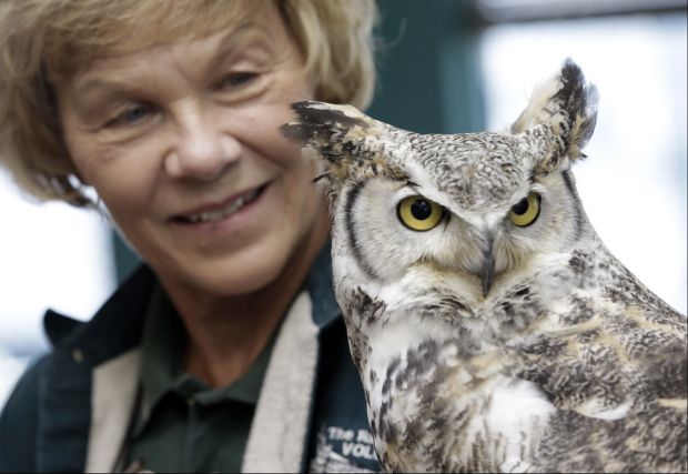 Animal shots of the week